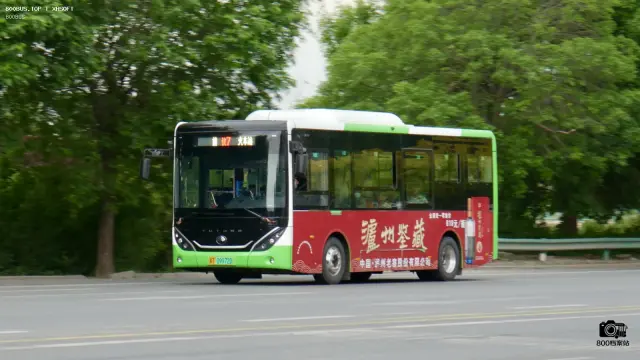冀T 09972D