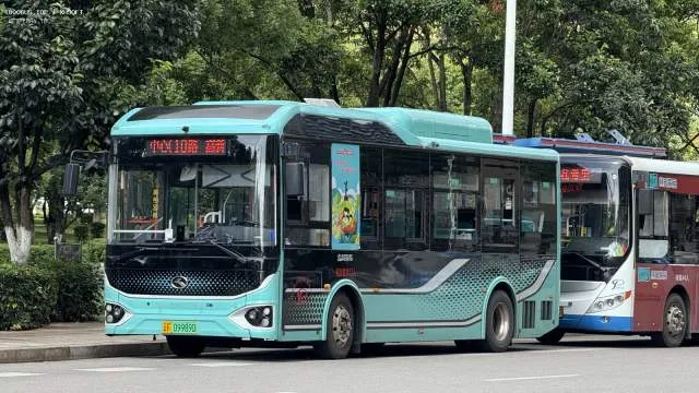 云F 09989D