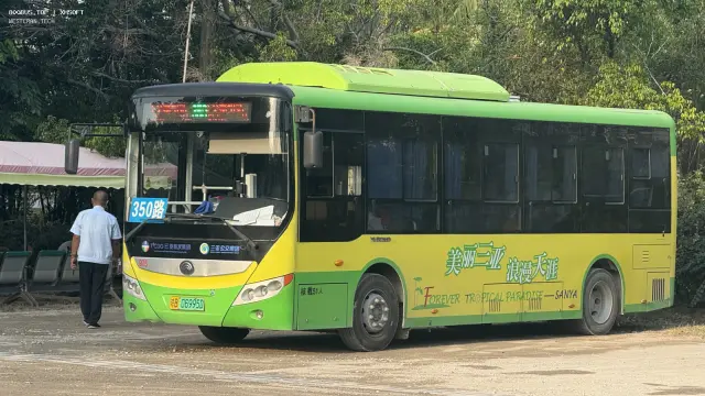 琼B 06995D