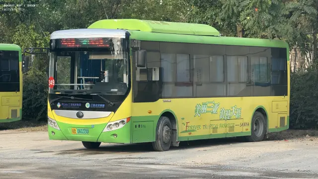 琼B 06033D