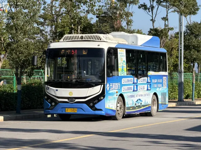 云F Y3009