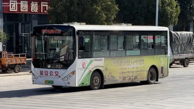 800BUS