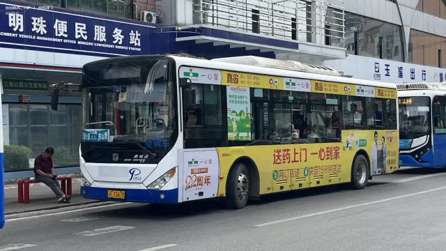 云F Y3670