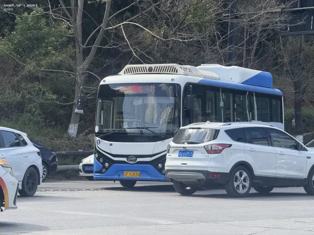 800BUS