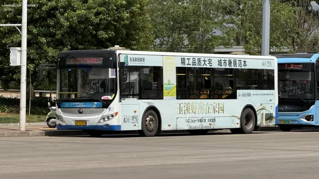800BUS