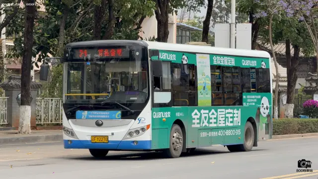 800BUS