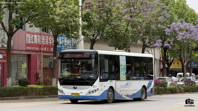 800BUS