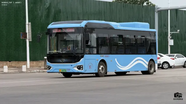 800BUS