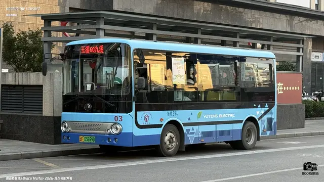 800BUS