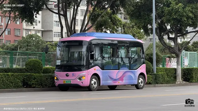 云F 06377D