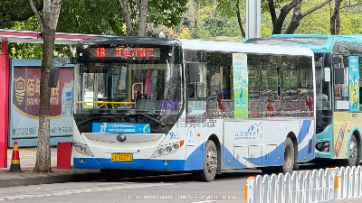 云F Y2241