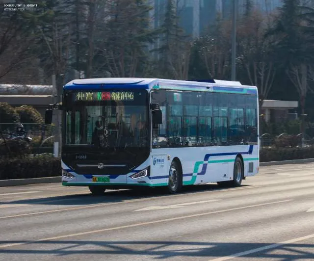 鲁A·01862D(1513)