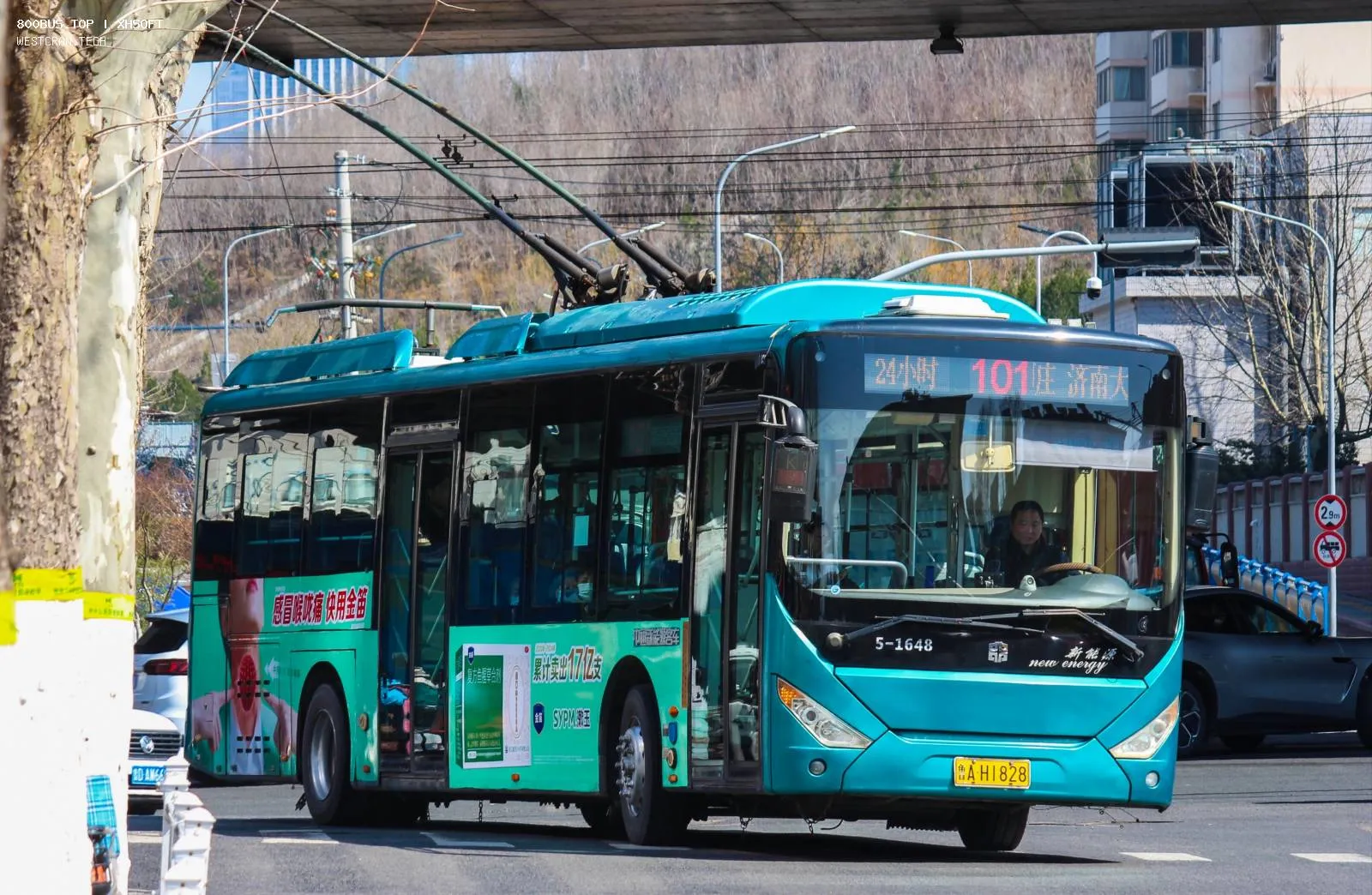 Bus Archive