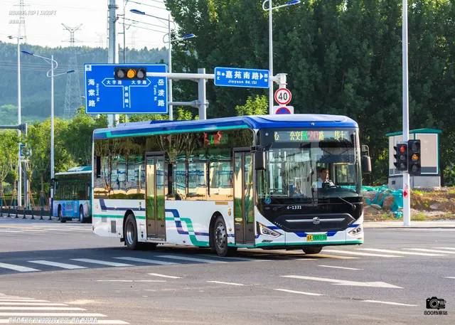 鲁A 00613D