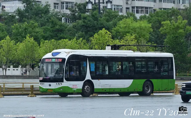 晋A A2485