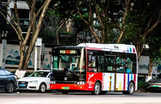 800BUS
