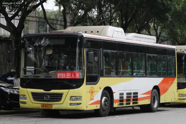 渝B W2519