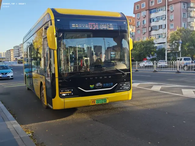 800BUS
