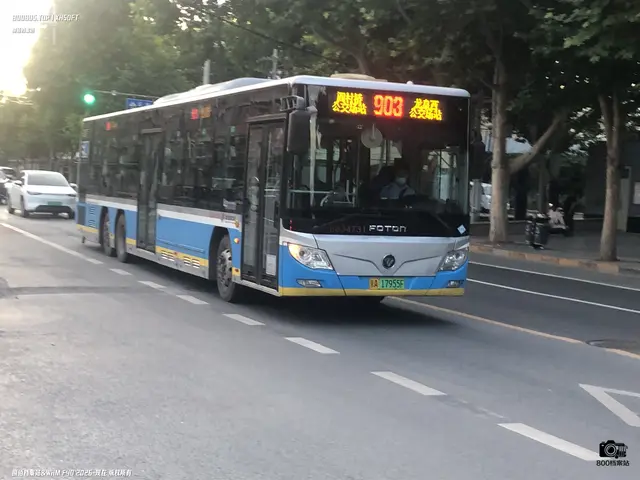 800BUS