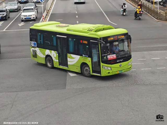 800BUS