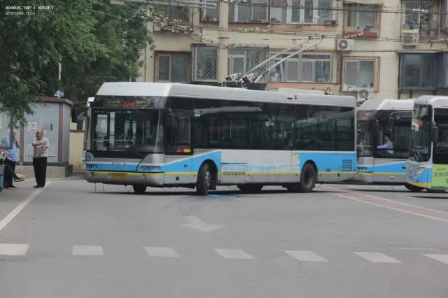 京AU5982