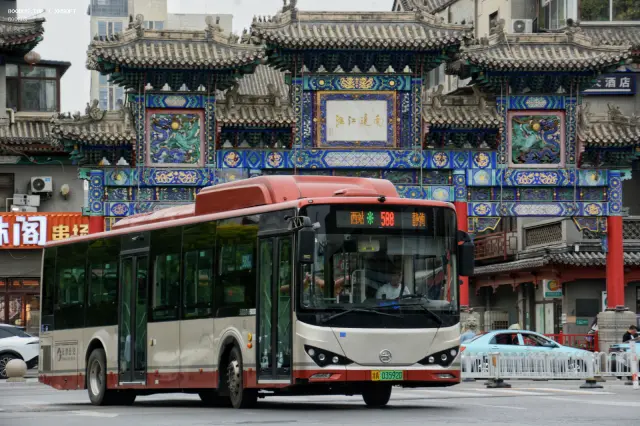 800BUS