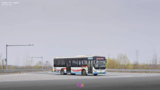 鲁L D0599