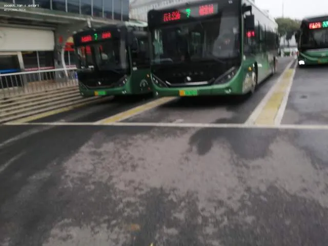 未知（无自编号）