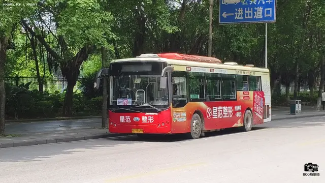 800BUS