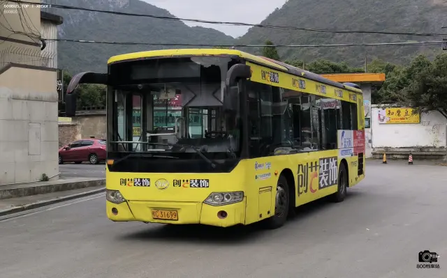 800BUS