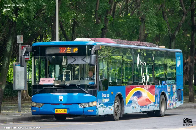 800BUS