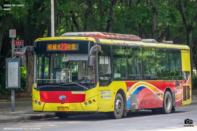 800BUS
