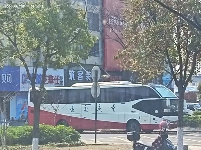 800BUS