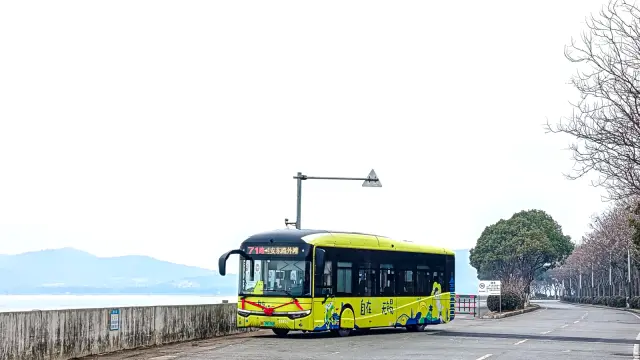 苏B·09316D（25902）