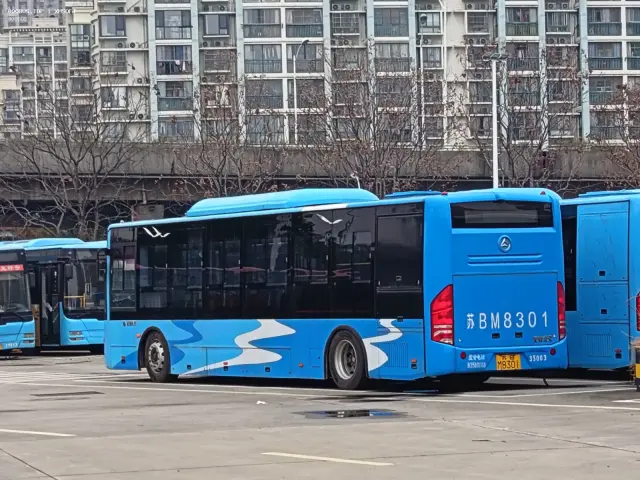 800BUS