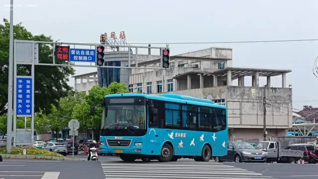 800BUS