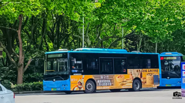800BUS