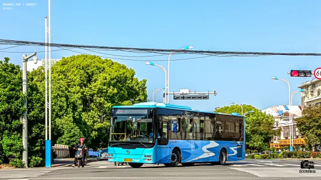 800BUS