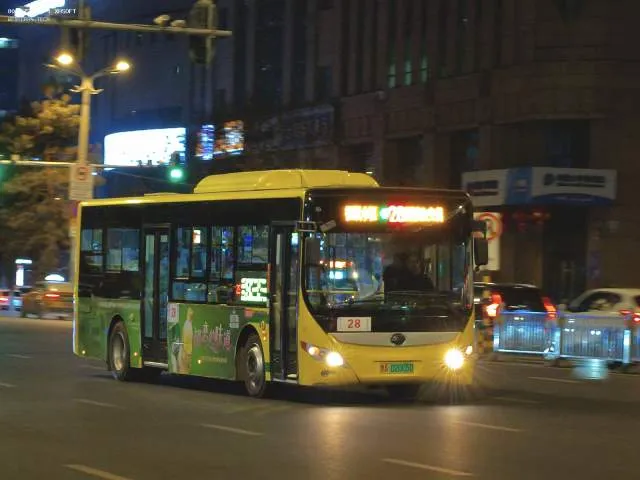 黑A·02005D