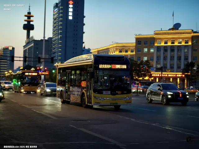 黑A 07923D