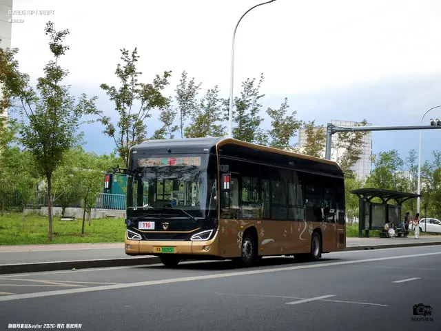 黑A 06065F