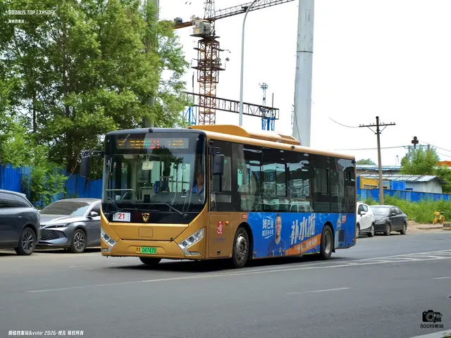 黑A 04747D