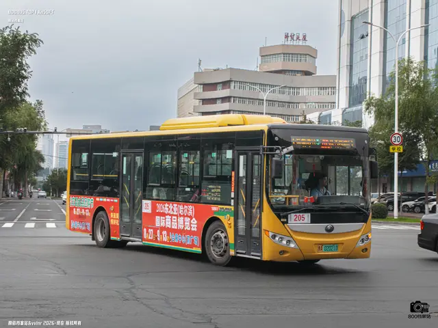 黑A 02021D