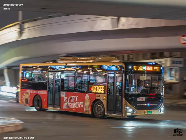 黑A 05303D