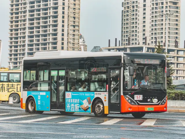 黑A 04620D