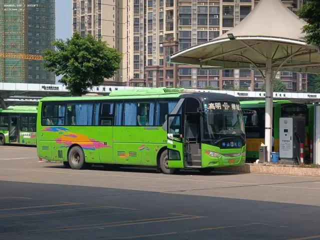 粤EX5001