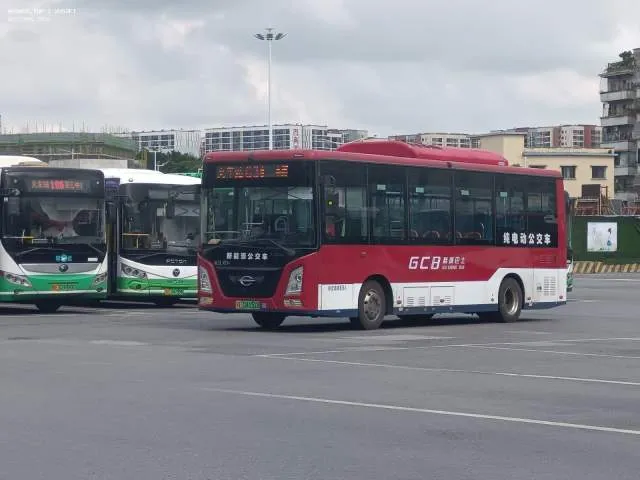 粤E04151D