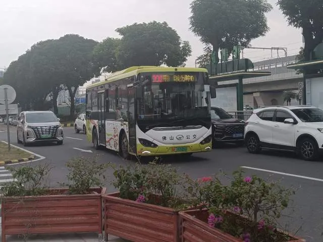 粤E00509D