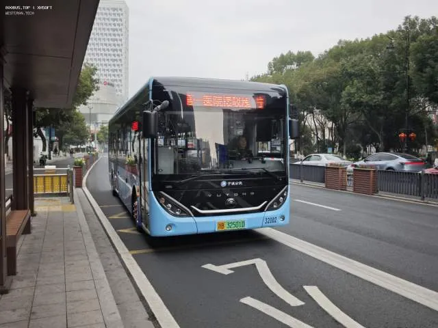 浙B32501D
