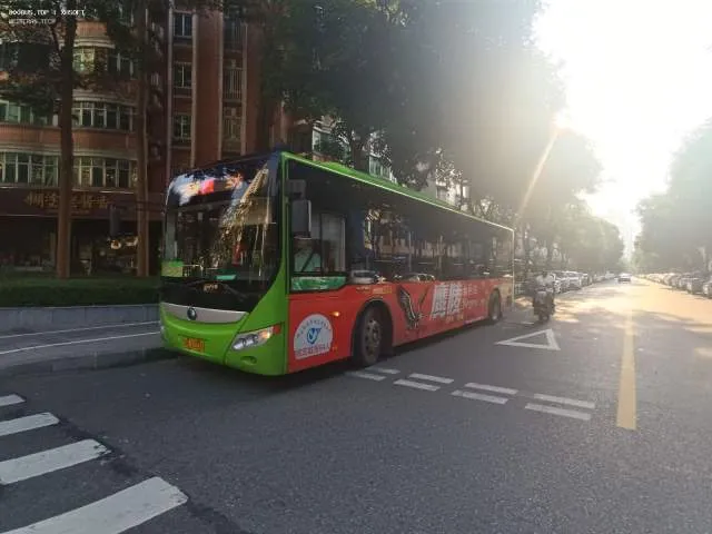 粤E22335